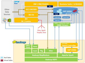 連接兩個世界 sap和hadoop生態系統的集成